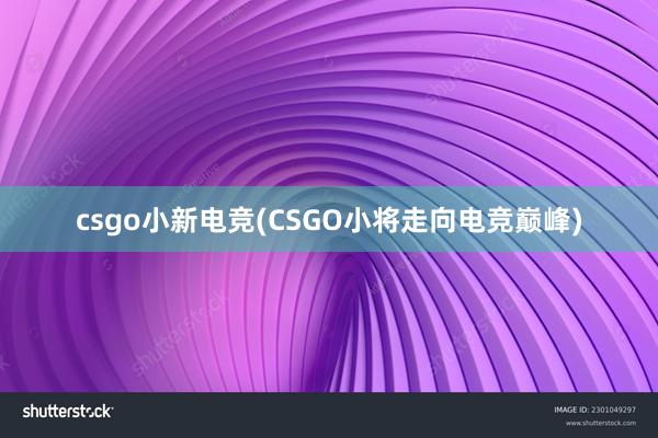 csgo小新电竞(CSGO小将走向电竞巅峰)