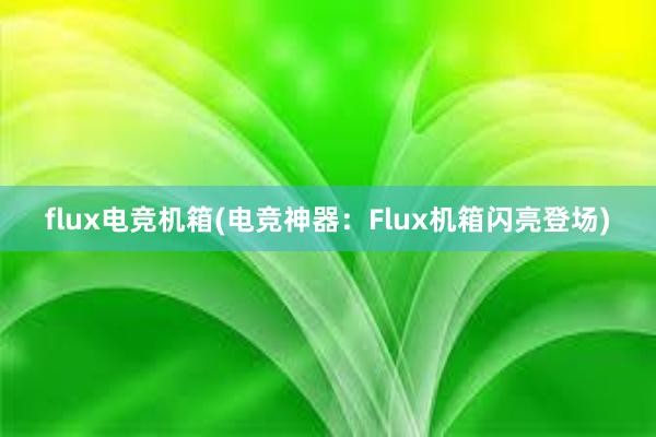 flux电竞机箱(电竞神器：Flux机箱闪亮登场)