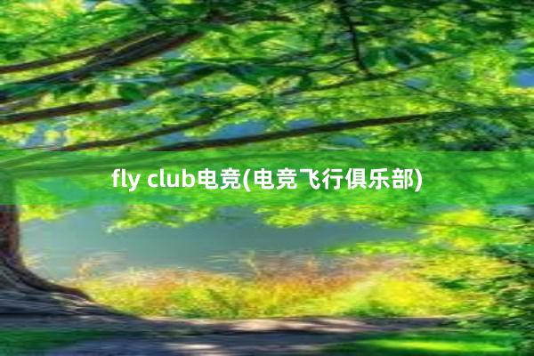 fly club电竞(电竞飞行俱乐部)