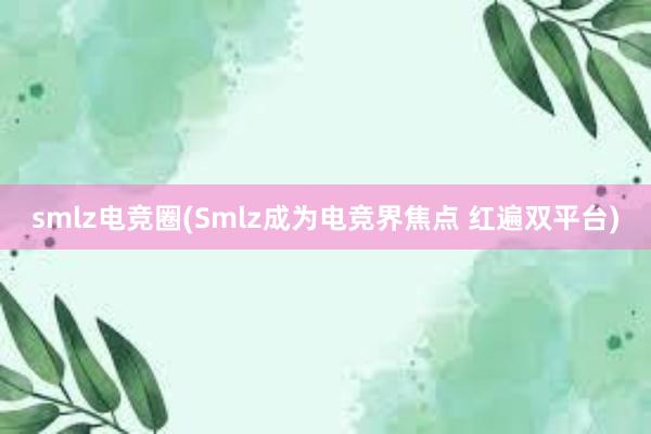 smlz电竞圈(Smlz成为电竞界焦点 红遍双平台)