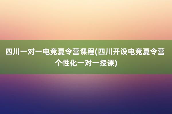 四川一对一电竞夏令营课程(四川开设电竞夏令营 个性化一对一授课)