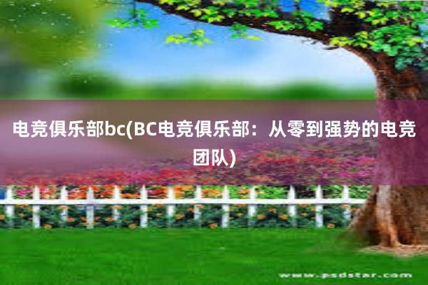 电竞俱乐部bc(BC电竞俱乐部：从零到强势的电竞团队)