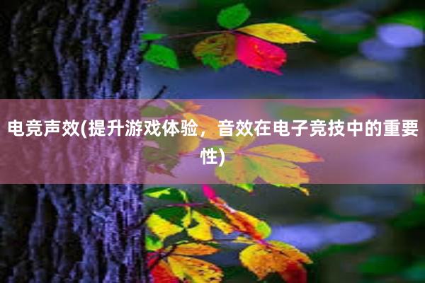 电竞声效(提升游戏体验，音效在电子竞技中的重要性)