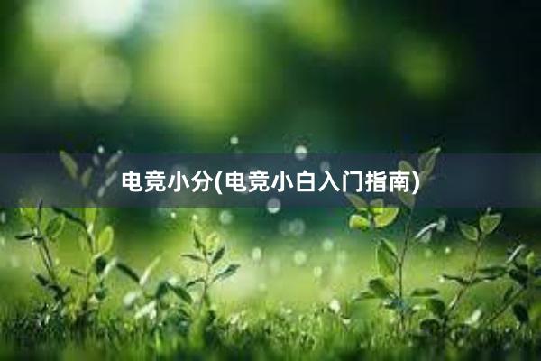 电竞小分(电竞小白入门指南)