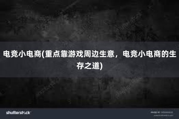 电竞小电商(重点靠游戏周边生意，电竞小电商的生存之道)