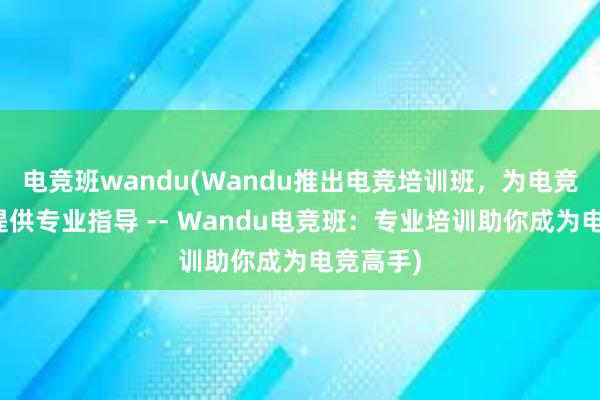 电竞班wandu(Wandu推出电竞培训班，为电竞爱好者提供专业指导 -- Wandu电竞班：专业培训助你成为电竞高手)