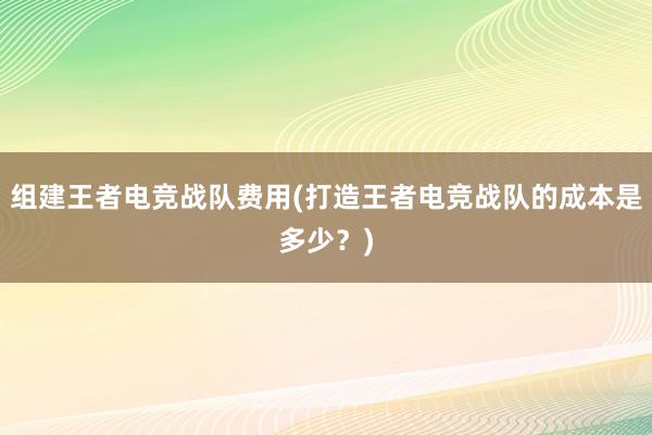 组建王者电竞战队费用(打造王者电竞战队的成本是多少？)