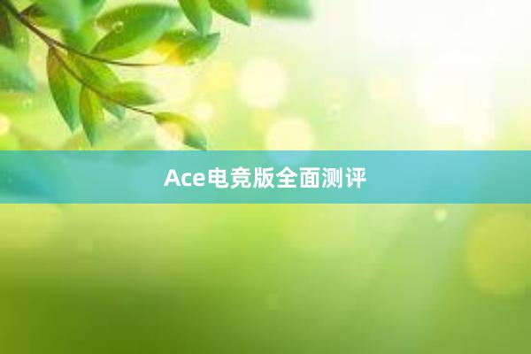 Ace电竞版全面测评