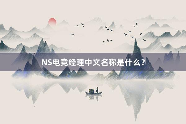 NS电竞经理中文名称是什么？