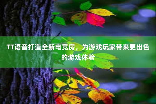 TT语音打造全新电竞房，为游戏玩家带来更出色的游戏体验