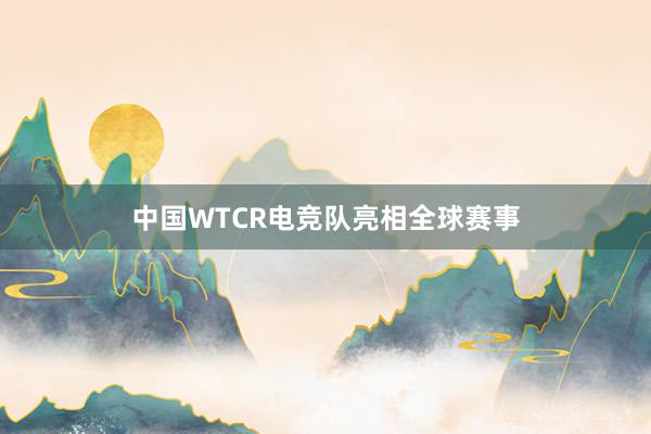 中国WTCR电竞队亮相全球赛事