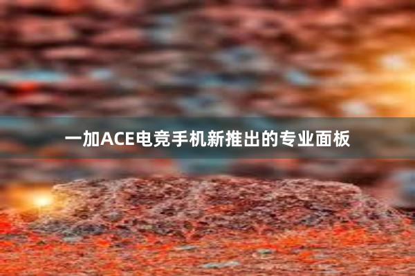 一加ACE电竞手机新推出的专业面板