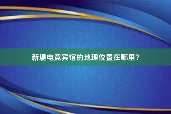 新堤电竞宾馆的地理位置在哪里？