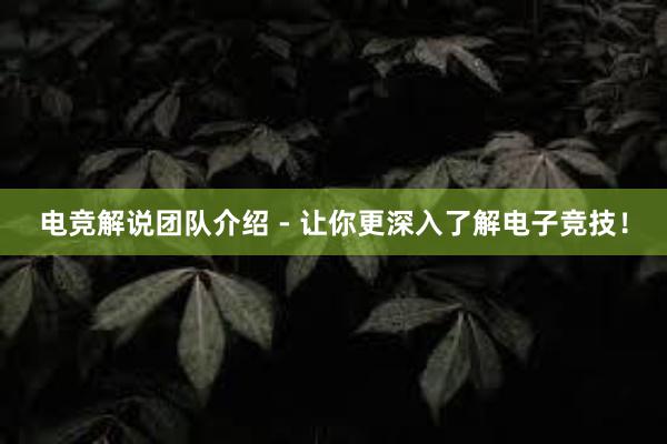 电竞解说团队介绍 - 让你更深入了解电子竞技！