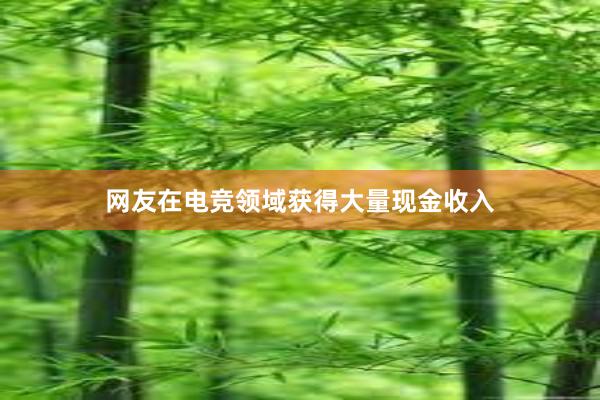 网友在电竞领域获得大量现金收入