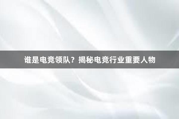 谁是电竞领队？揭秘电竞行业重要人物